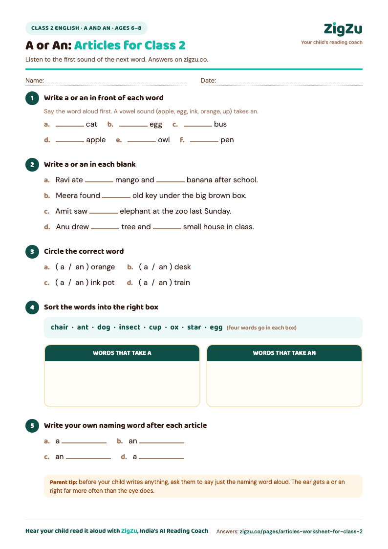 Preview of Articles Worksheet for Class 2 (A and An): a and an with everyday Class 2 words.