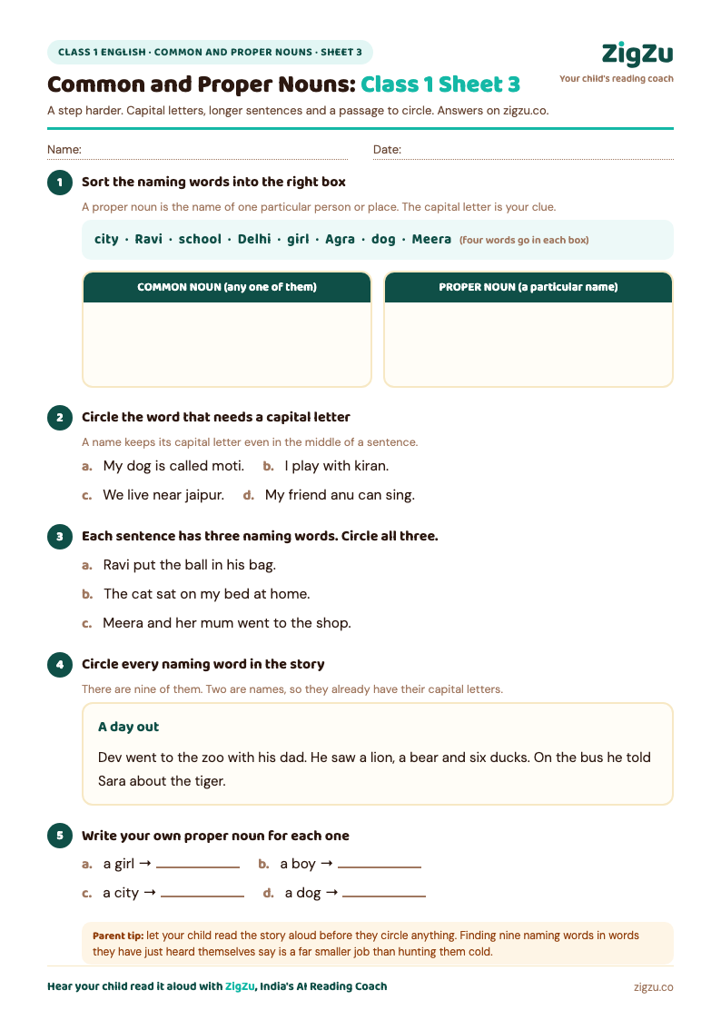 Preview of Class 1 Noun Worksheet 3 (Common and Proper Nouns): Common and proper nouns, plus a passage to circle.