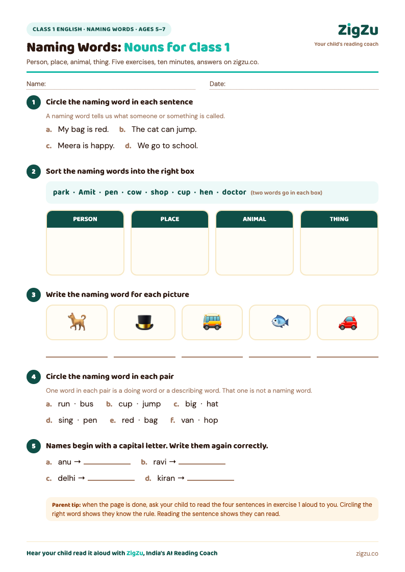 Preview of Class 1 Noun Worksheet (Naming Words): Circle, sort and name the naming words.