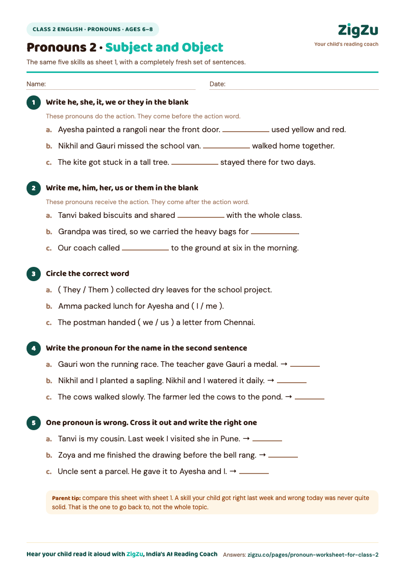 Preview of Class 2 Pronoun Worksheet 2: The same two pronoun families, all new sentences.