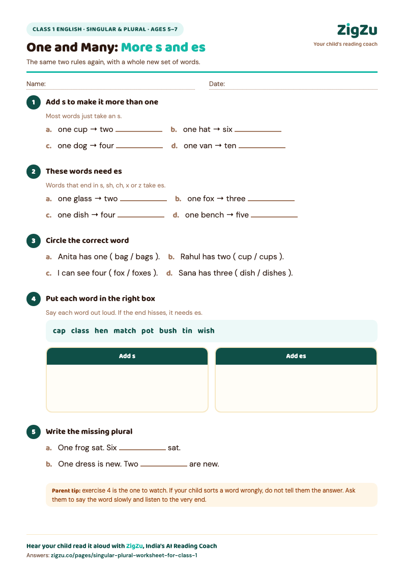 Preview of Class 1 Singular and Plural Worksheet 2: More s and es Practice: Add s and add es, with all new words