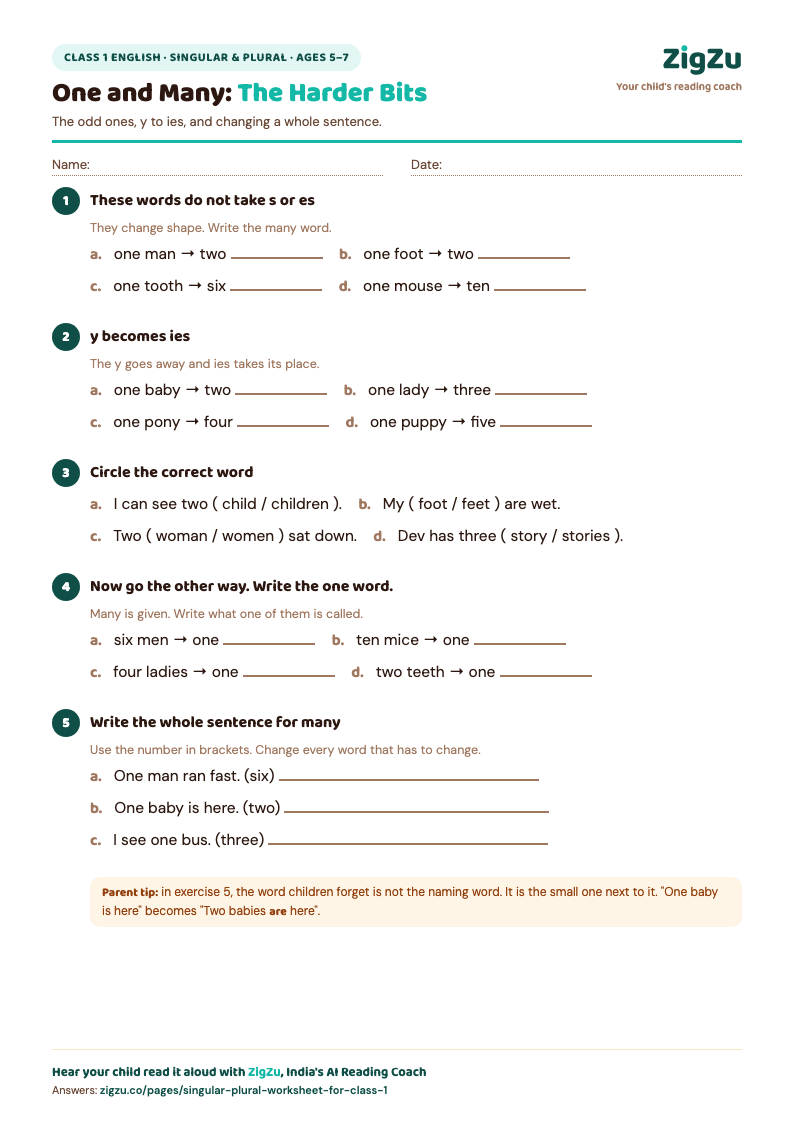 Preview of Class 1 Singular and Plural Worksheet 3: Irregular Plurals and y to ies: Irregular plurals, y to ies, and whole sentences