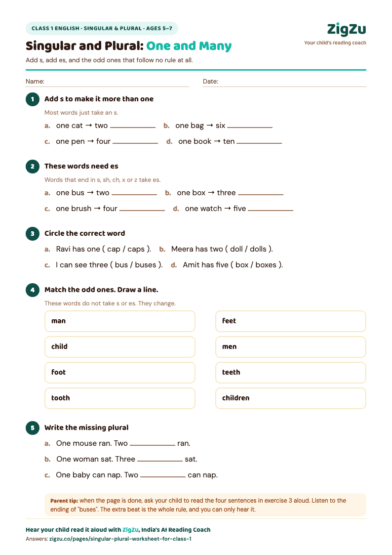 Preview of a free Class 1 English worksheet: singular and plural