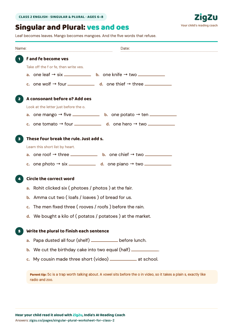 Preview of Class 2 Singular and Plural Worksheet 2: ves and oes Endings: f and fe to ves, plus the o endings