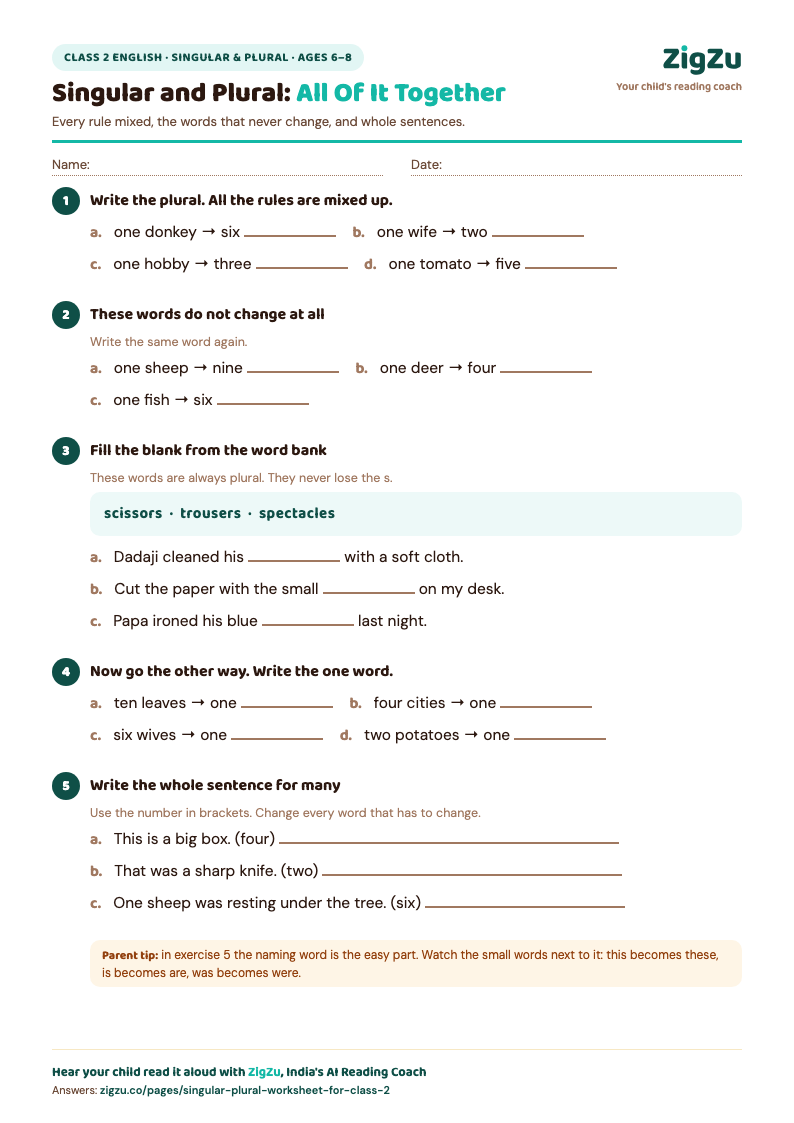 Preview of Class 2 Singular and Plural Worksheet 3: Mixed Rules and Sentence Agreement: Every rule mixed, plus whole sentences