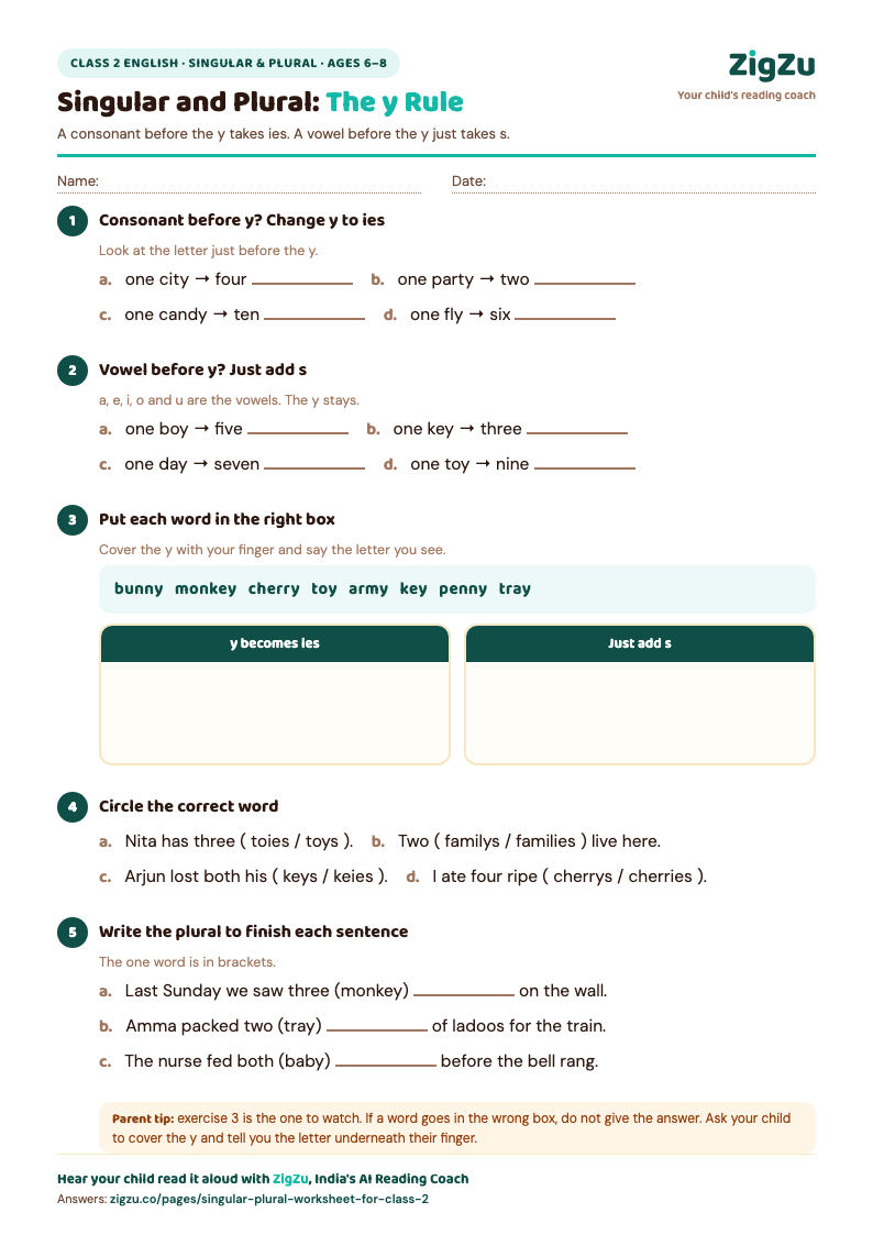 Preview of Class 2 Singular and Plural Worksheet: The y Rule: Both halves of the y rule